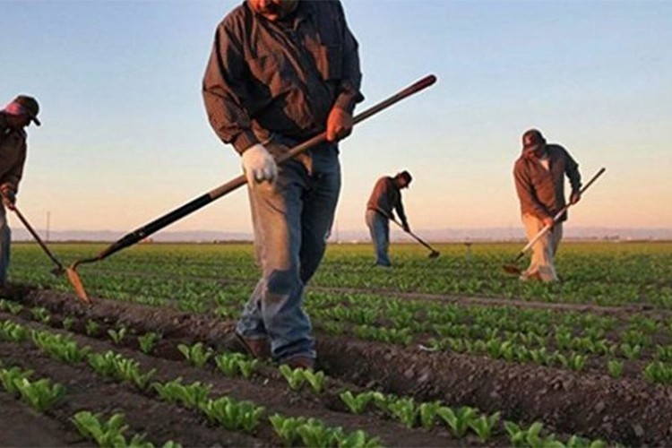 Ortak üretimle verim artacak