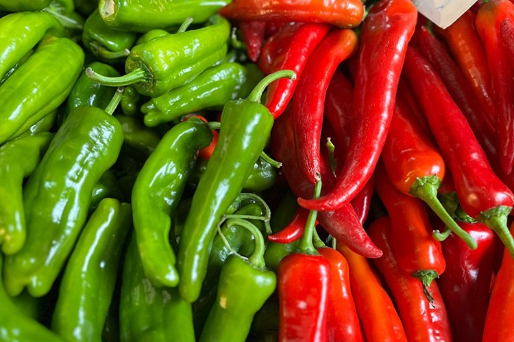 Batı Akdeniz'in ihracat şampiyonu biber oldu