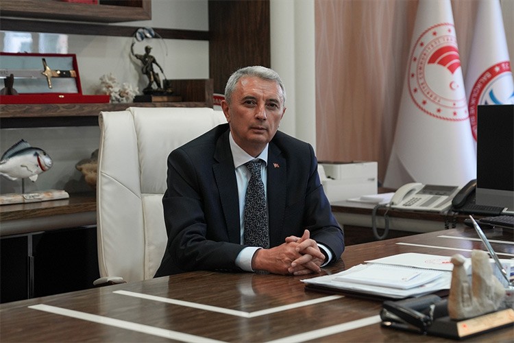 Hamsi avcılığı denizden tezgaha takip ediliyor