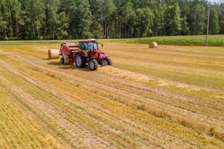 Buğday fiyatı yükseldi