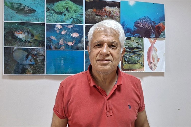 Yerli balıkları korumak için "yabancı türler ekonomiye kazandırılsın" önerisi