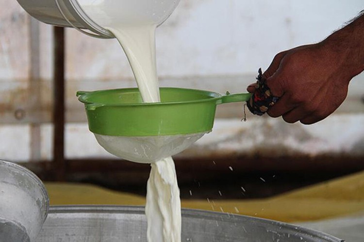 Çiğ sütte yeterli kaliteyi yakalamalıyız