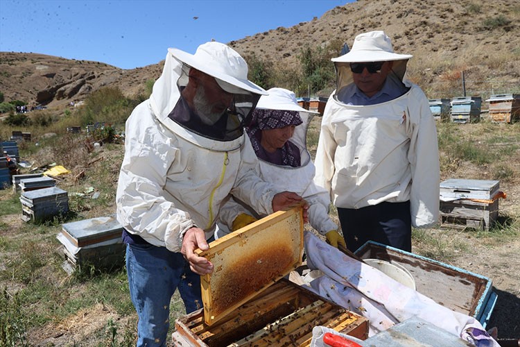 Sivas'ta 6 bin 500 ton bal rekoltesi bekleniyor