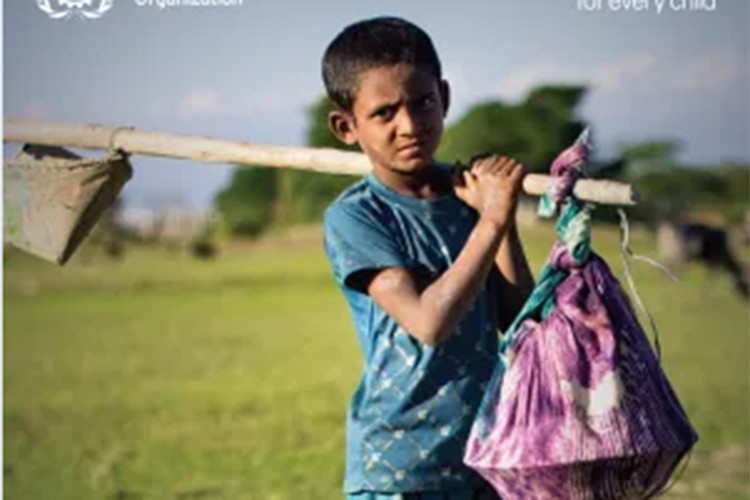 İlerlemeye rağmen hala 138 milyon çocuk işçi var!