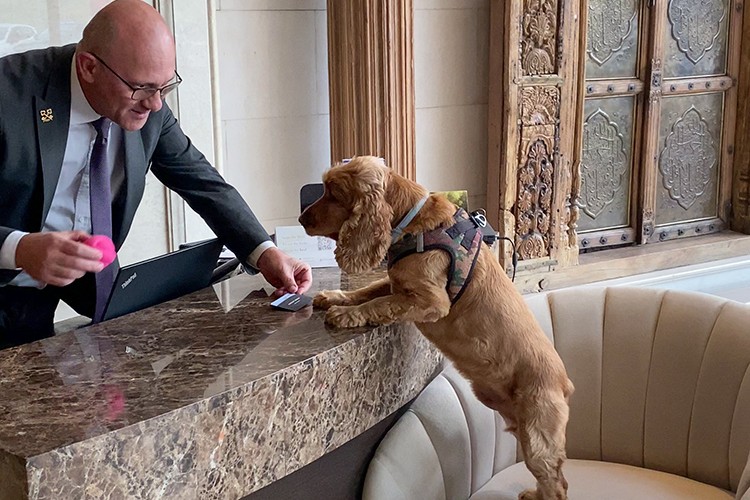 The Ritz-Carlton, Istanbul'dan Pati Dostu Adımlar