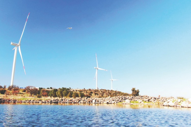 Yenilenebilir Enerji Üretiminin Payı Yüzde 53 Oldu