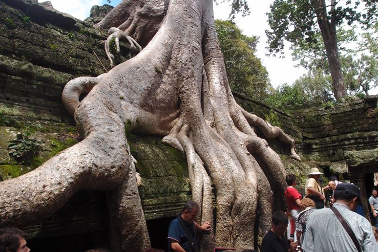 1000 yıllık muhteşem tapınak - Angkor Wat