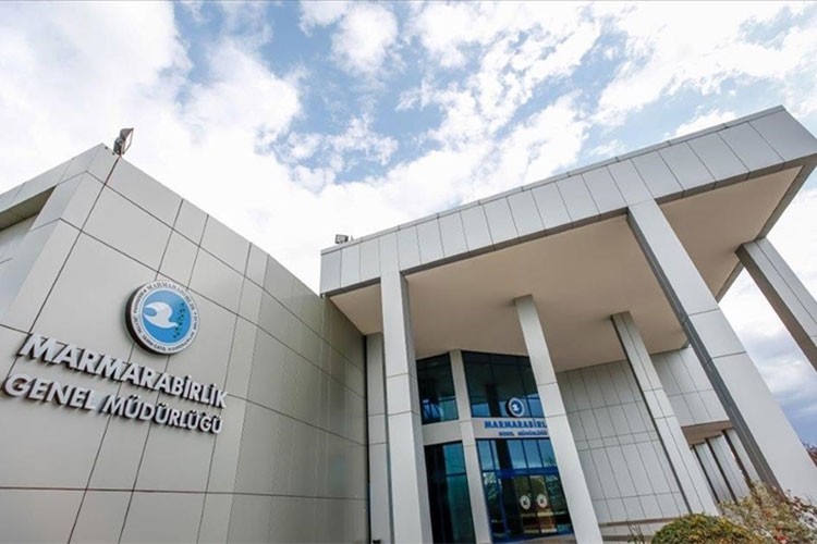 Marmarabirlik ortaklarına yarın 354 milyon lira ödeyecek