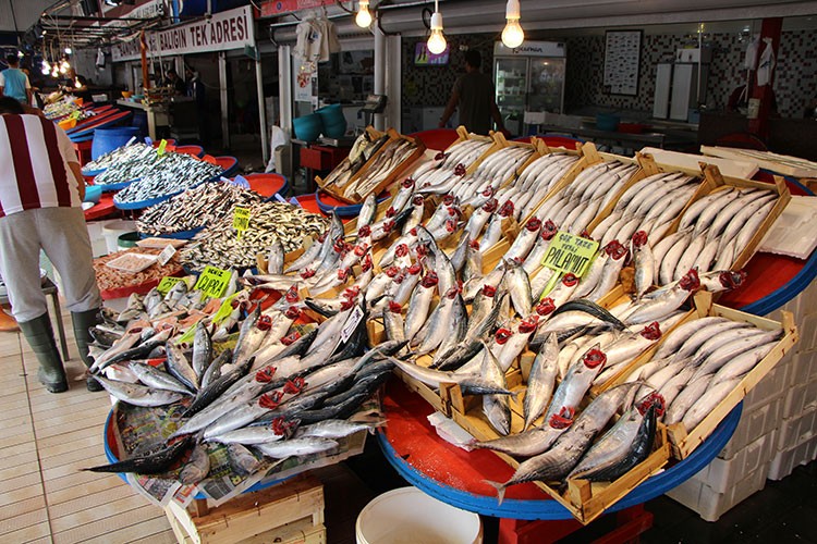 Bandırma Su Ürünleri Hali'nde balık bolluğu yaşanıyor