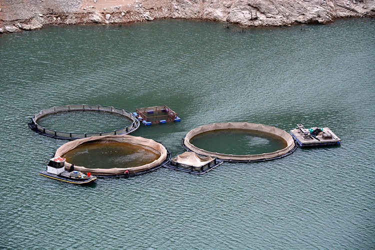 Ekonomiye 90 milyonluk katkı