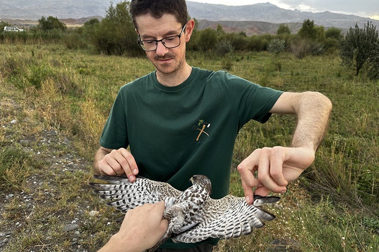 Belçikalı kuş bilimciler, Türkiye'nin en doğusundaki türleri araştırıyor