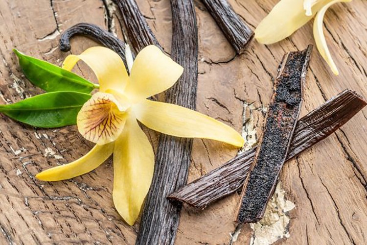 Yazın ferahlatan kokuları