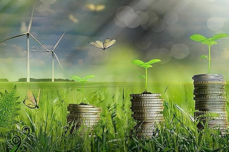 İş dünyası örgütleri yeşil dönüşüme uyum için görevde