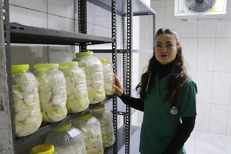 Besiciliğe başlayan veteriner, babasının emanetine de sahip çıkıyor