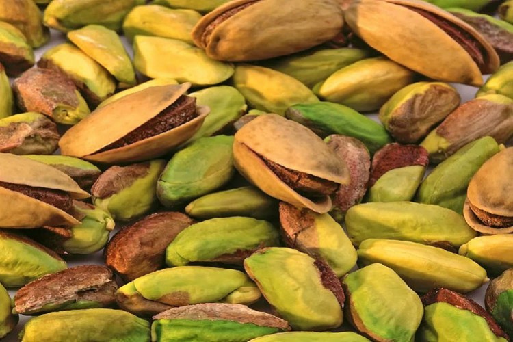 İSTİB'de Antep fıstığı yetiştiriciliği konuşuldu