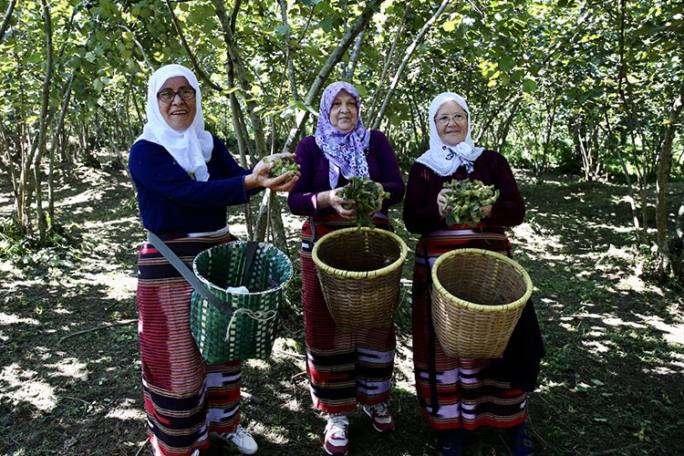 Giresun'da "Fındık Hasat Şenliği" düzenlendi