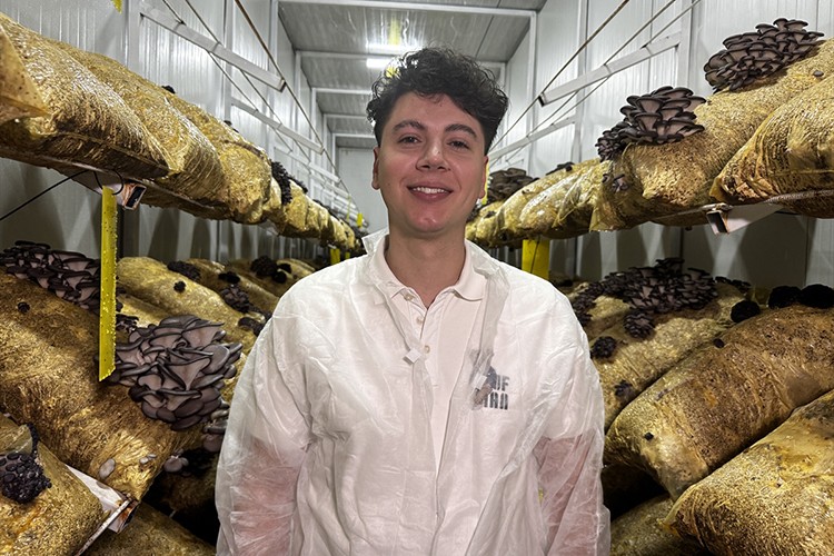 Genç avukat kurduğu mantar tesisiyle üretime katkı sağlıyor