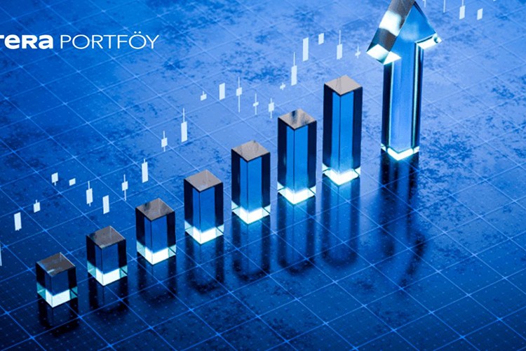 Tera Portföy yatırımcı sayısını katladı