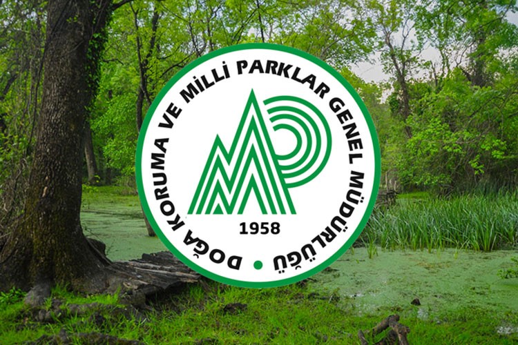 Orman yangınlarından etkilenen alanlarda avlanmak yasaklandı