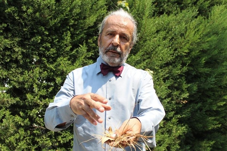 'Ormanlardaki kuru yapraklar kömüre eş değer enerji verir'