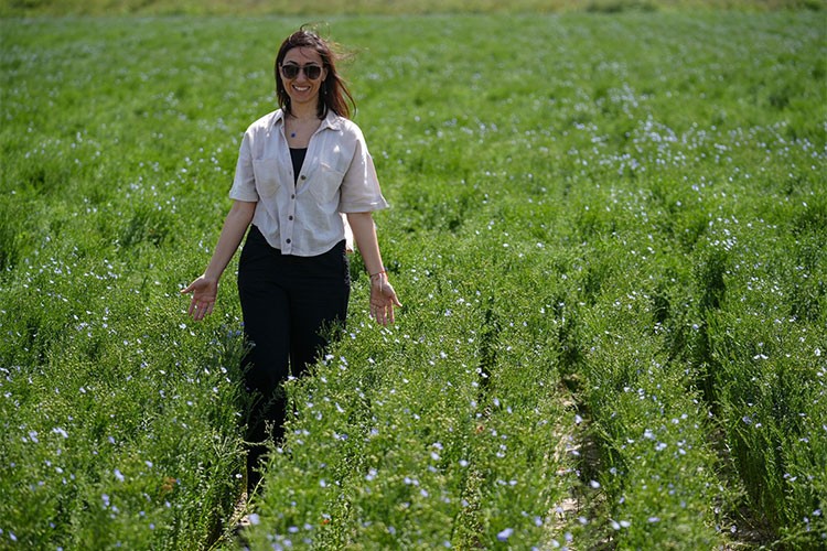 Kuraklığa dayanıklı geliştirilen keten tohumları tanıtıldı