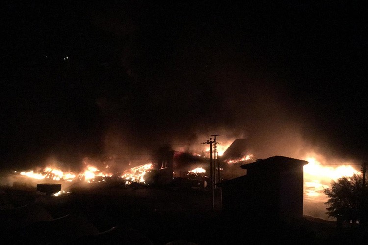 Narenciye paketleme tesisinde çıkan yangın söndürüldü