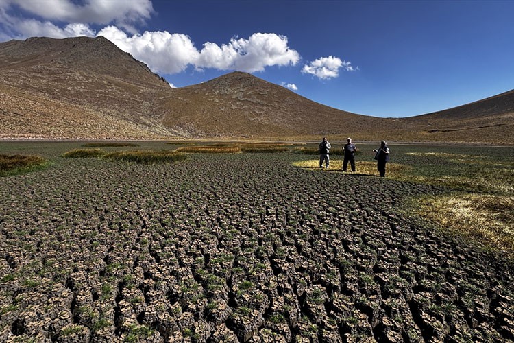Erciyes'in eteklerinde yılkı atları, kuşlar ve koyunlara hayat veren Sarıgöl kurudu