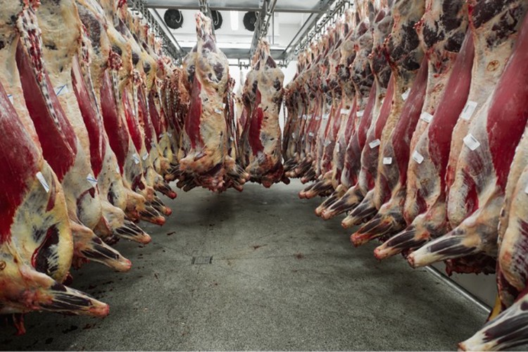 Kıyafet ve donanım satın alınacak