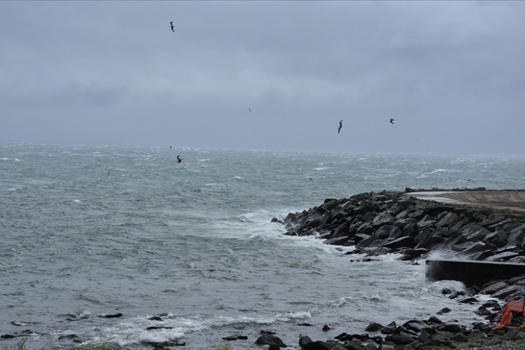 Doğu Karadeniz için kuvvetli yağış ve kar uyarısı