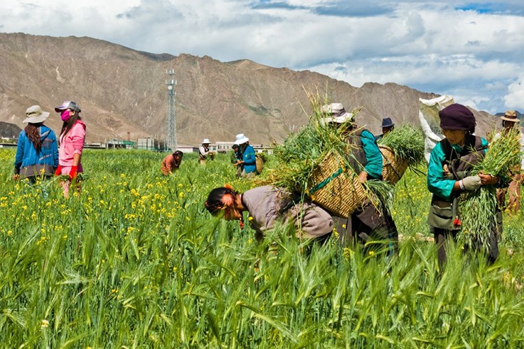 Çiftçiye yasak yok