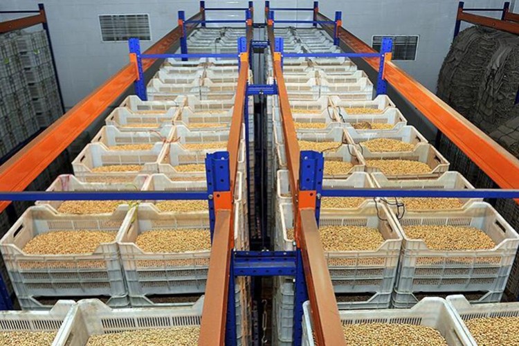 Gümrük vergisi sıfırlandı