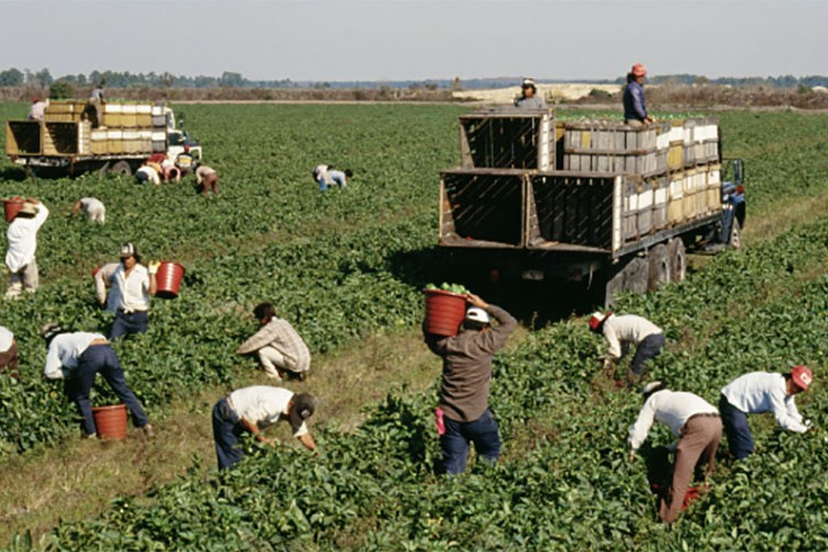 Gizli Maliyetler ve Krizden Çıkmanın Yolları