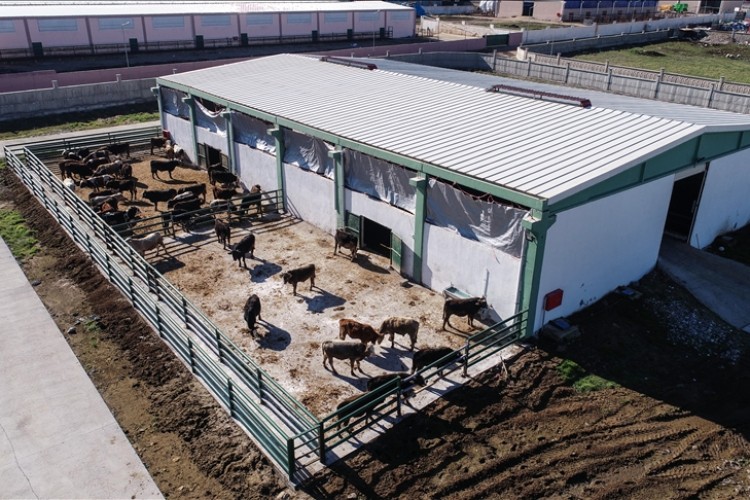 İhtisas OSB'lerin tarıma "can suyu" olması bekleniyor