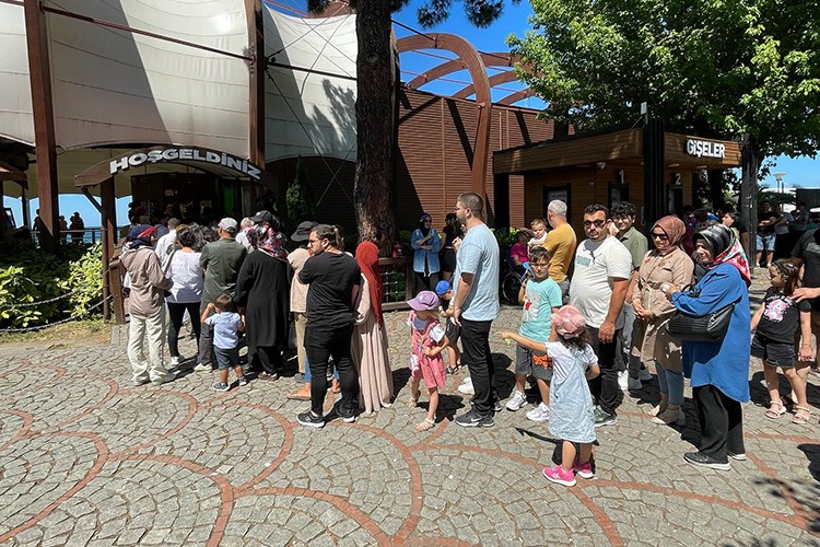 Ordu'daki teleferik Kurban Bayramı tatilinde 50 bin yolcu taşıdı