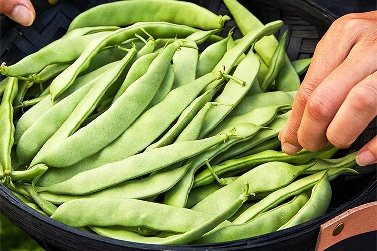 İstanbul'da en çok fasulyenin fiyatı arttı