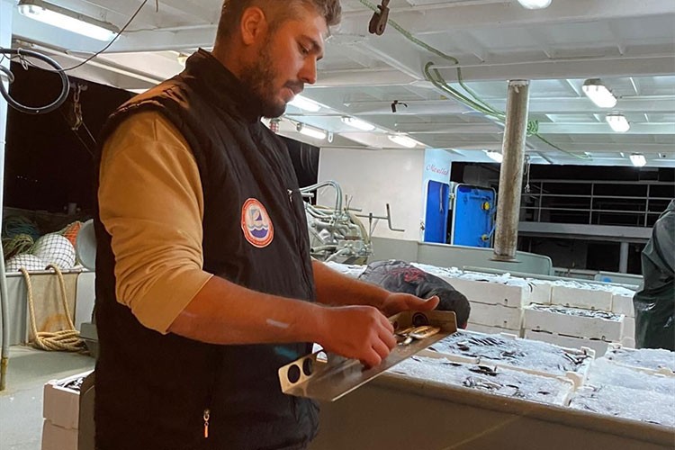 Sinop'ta mevzuata aykırı avlanan yaklaşık 5 ton balığa el konuldu