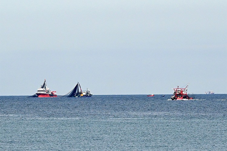 Balıkçılar palamut avı için rotayı Doğu Karadeniz'e çevirdi