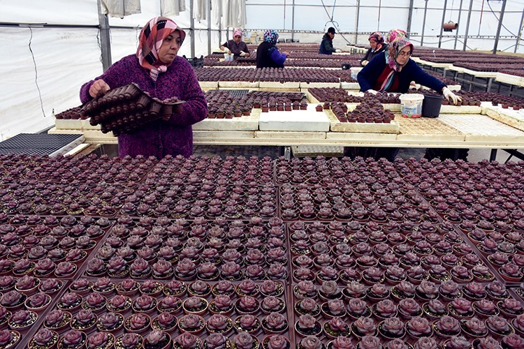 Siparişlere yetişemiyor