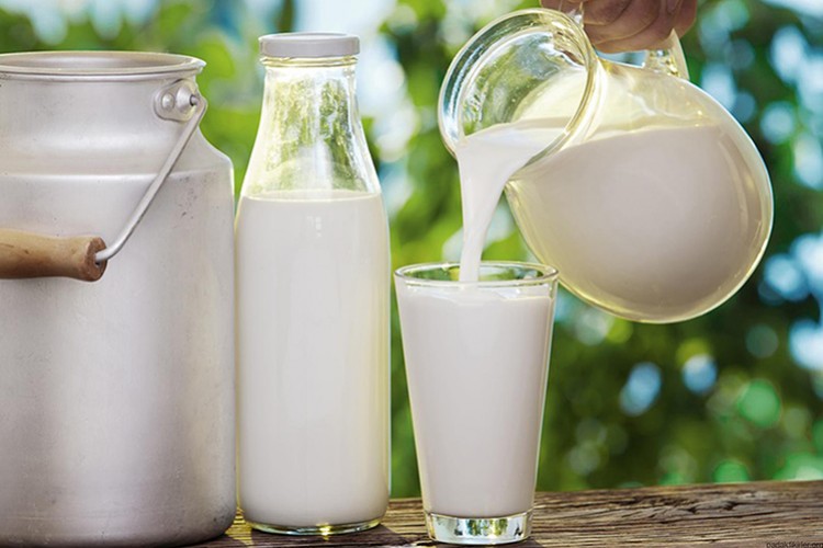 Koyun ve keçi sütü sağlıktır