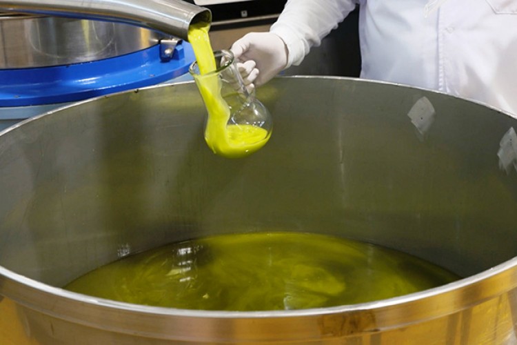 Dökme zeytinyağı ihracatına kısıtlama talep edildi