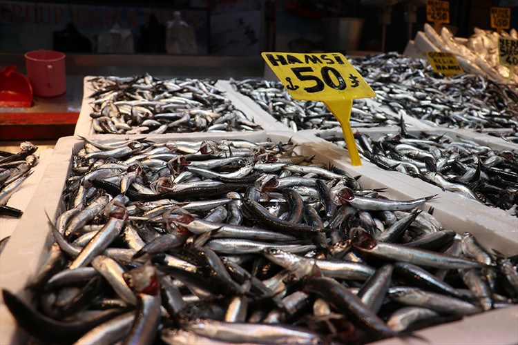 Hamsi bolluğu Trabzon'daki balıkçı tezgahlarında fiyatlara yansıdı