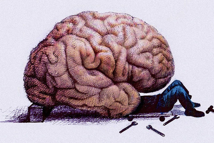 Beyin, umudunu kaybetmeyene yardım ediyor