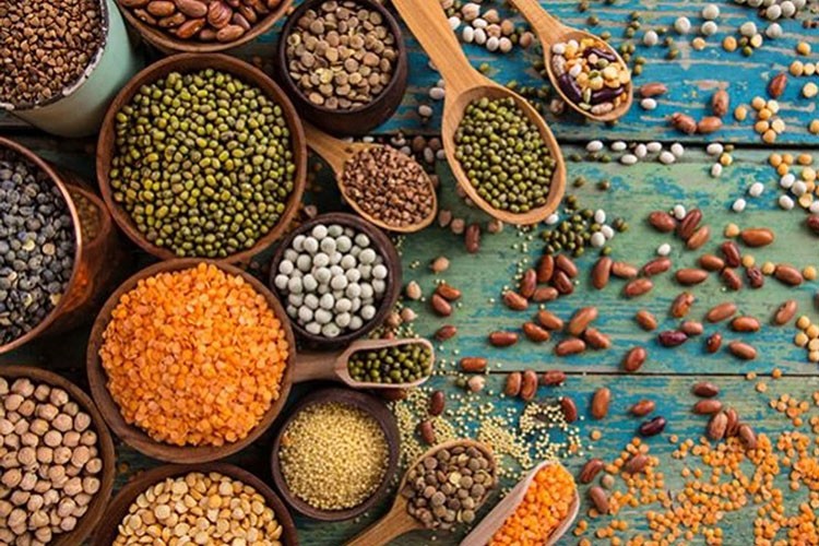 Gıda sektöründen ilk çeyrekte 7,1 milyar dolar ihracat