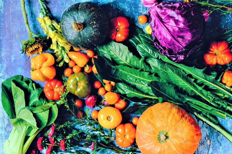 Organik tarım üretimi 1,3 milyon tonu aştı