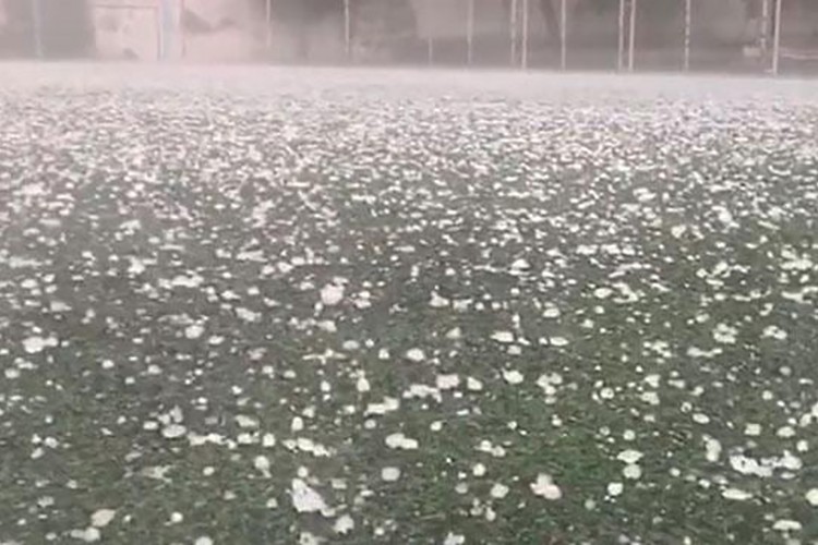 Osmaniye'de dolu nedeniyle 40 bin 500 dekar ekili alan zarar gördü