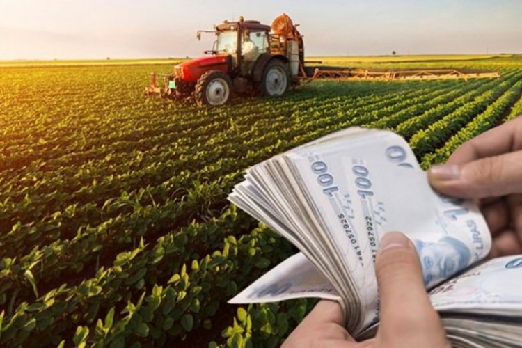 Çiftçinin destek ödemeleri hesaplara yatıyor