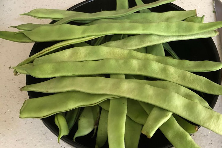 En çok taze fasulyenin fiyatı düştü