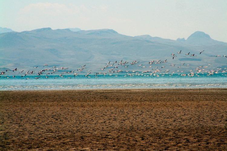 İklim planları yetersiz