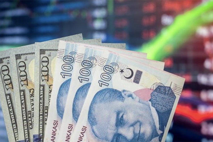 Zenginlerin geliri 1,3 puan artarak yüzde 48'e çıktı