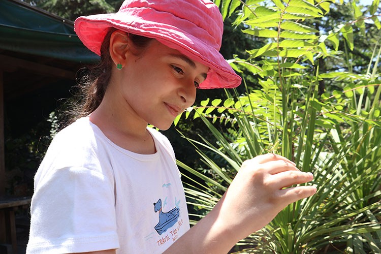 Ekoloji inovasyonla buluşuyor